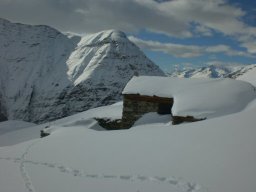 L&#039;Ouille Allegra